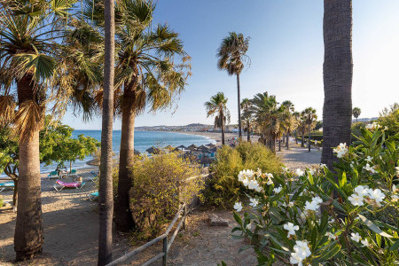 12 surroundings LR.jpg - 2